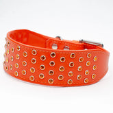 Crystal Clarity Luxury Greyhound Collar by Petiquette